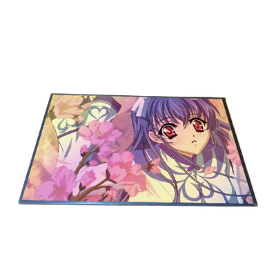 10,1 экранный дисплей 800*1280 дюйма B101EAN02.2 TFT LCD