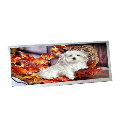 Для AUO C123HAN02.5 12,3 дюйма 40 штифтов LCD дисплей
