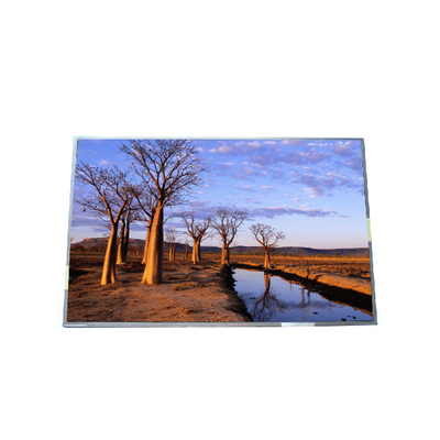 RGB 1440*900 B170PW03 V9 99PPI TFT LCD панель