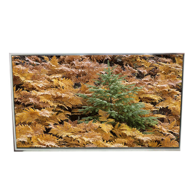 49.0 дюймовый 3840*2160 LD490EQG-FNA4 Lcd экран для цифровой вывески