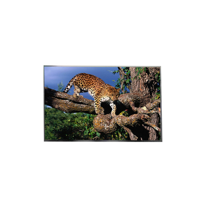 LP156WFC-SPD8 15,6 дюйма FHD IPS TFT LCD экран для ноутбука