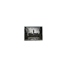 5.7 дюймовый AM-320240N1TMQW-00H-A(R) 320*240 60Hz 262K LCD экран