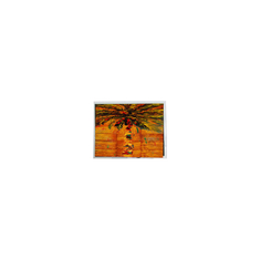 HSD070BPW1-A00 280*1424 6,9 дюймовый ЖК-экран для бытовой техники