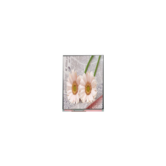 C084GNS1-1 800*600 8,4 дюймовый TFT LCD дисплей для промышленности