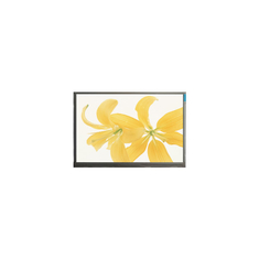 10.4 дюймовый LPM104GNX1 R1 TFT LVDS 262K LCD панельный монитор