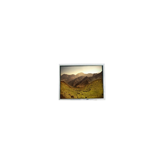 HOT SELL 800*480 FG0700GEDUSWMG01 7,0 дюйма LVDS ЖК-дисплей