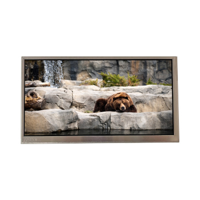 C080VAN02.3 8,0 дюймовый WLED LCD дисплей