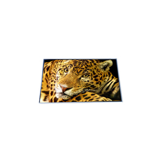 P500QVF02.0 50,0 дюймовый 4K LCD дисплей