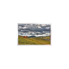 LW270AHQ-ESG3 27.0 дюйма 2560*1440 OLED дисплей для игр