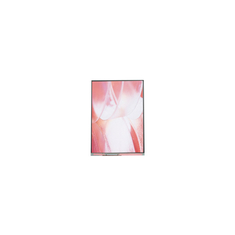 12.1 дюймовый LCD-экран LS121K1LX02 1280*800