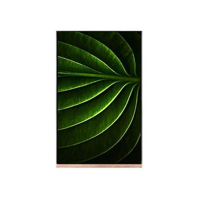 ЖК-экран 10,1 дюйма для LCD-модуля NV101WUM-N53