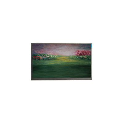 ЖК-экран для 13,3-дюймового R133NWF4 RB LCD модуля