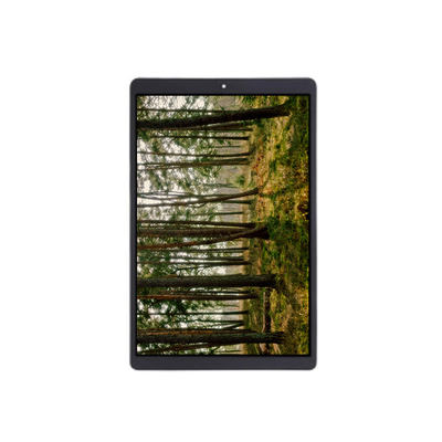 TV101WUM-LL2 10,1 дюйма 1200*1920 Модуль ЖК-экрана