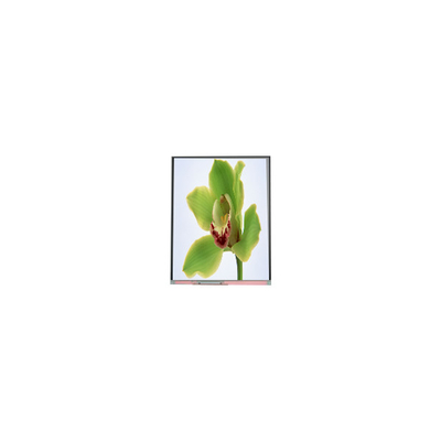 5.0 дюймовый TFT LCD экран 480*854 C050SWYG-3