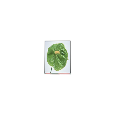 C050SWYM-0 5,0 дюйма 480*960 ЖК-дисплей для телефона