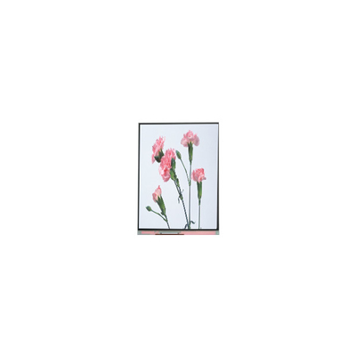 C060SWA3-3 6,0 дюйма 720*1280 ЖК-дисплей для телефона