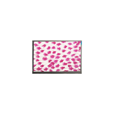 9.0 дюймовый 800*480 LCD дисплей E090SWP1 R2 LCD панель