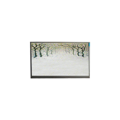 R125NWR3 R3 12,5 дюймовый LCD модуль 1366*768 LCD дисплей