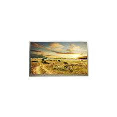 11.6 дюймовый модуль экрана M116NWR6 R0 TFT-LCD