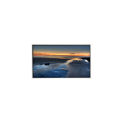 TT090WSQ-N10 9,0 дюйма 1024 * 600 LCD дисплейная панель