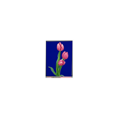 C055SWF4 R0 LCD Модуль 5,5 дюймовый TFT LCD дисплей