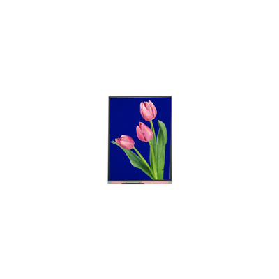 Новый 5,4-дюймовый ЖК-экран C054SWZ4-1 540*960