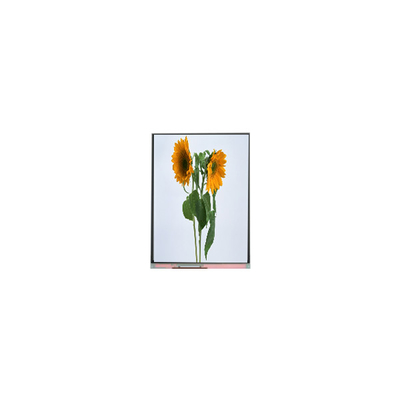 9.0 дюймовые IVO LCD панели C090SWT3-0 1024*600 LCD дисплейные модули