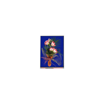 5.4 дюймовая ЖК-панель 540*960 C054SWN1-1 ЖК-дисплейный модуль