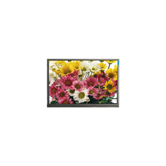 F080AWN1-01 8,0 дюйма 800*480 a-Si TFT-LCD дисплей