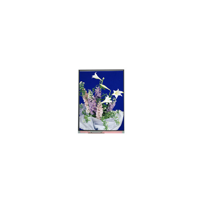 C054SWN1 R0 tft LCD Screen Display 5,4-дюймовая ЖК-панель