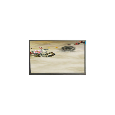 P236MWF2 R0 23.6 дюймовый 1920*1080 TFT-LCD экран