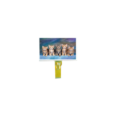 TM070RDH11 7,0 дюйма 800*480 LCD дисплей