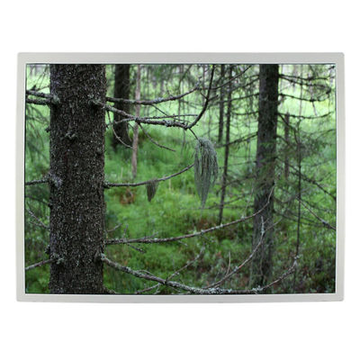 Хорошая цена 12,1 дисплей экрана LQ121S1LG79 промышленный LCD TFT дюйма 82ppi lcd онлайн