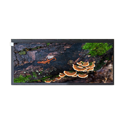 Хорошая цена 12,3 HSD123KPW2-A10 50 штыря lcd дюйма дисплея с плоским экраном экрана для автомобильного дисплея онлайн
