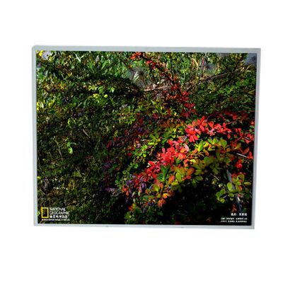 Хорошая цена LM201U1-A3 20,1 дюйма 1600*1200 Модули ЖК-дисплеев онлайн