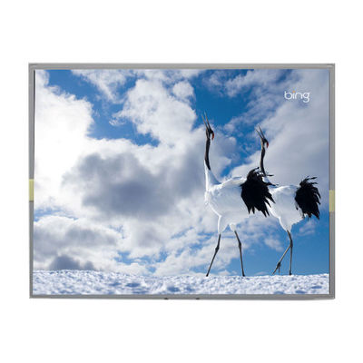 Хорошая цена LM2013-WETLD1 20,1 дюймовый ЖК-экран LVDS 30pin ЖК-дисплей онлайн