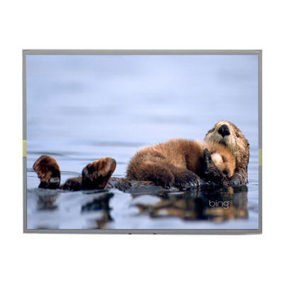 Хорошая цена LM2013-WETLJ1 20,1 дюйма 1680*1050 TFT ЖК-дисплей онлайн