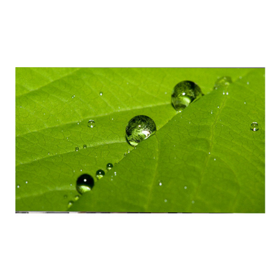 Хорошая цена LM270WF9-SSA1 27.0 дюймовая ЖК-панель 1920*1080 TFT ЖК-дисплей онлайн