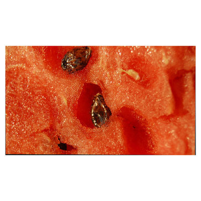 Хорошая цена LM315WR6-SSA1 32,0 дюймовый промышленный 4K ЖК-экран для видеоприложения онлайн