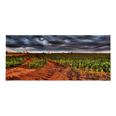 Хорошая цена LM340UW6-SSA3 34,0 дюймовая ЖК-панель 3440*1440 ЖК-дисплей онлайн