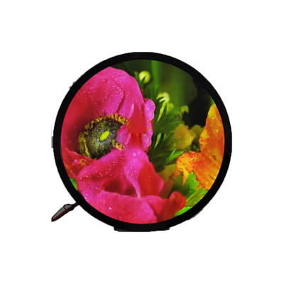 Хорошая цена 23.6 дюйма 1280*1280 DV236FBM-N00 1500 cd/m2 ЖК-экран для круглого дисплея онлайн