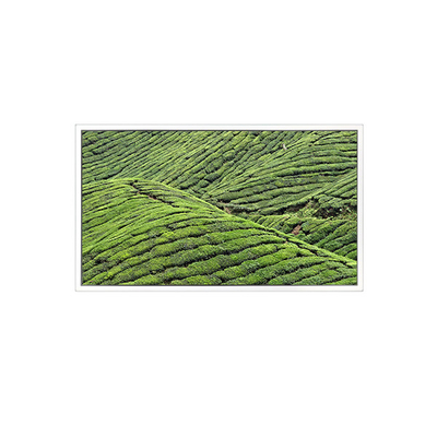 Хорошая цена DV320WHD-NT0 32,0 дюйма 1366*768 ЖК-экран для прозрачного дисплея онлайн