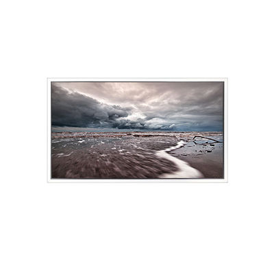 Хорошая цена 3840*2160 EV550QUM-N50 55,0 дюймовый ЖК-экран для наружной высокой яркости онлайн