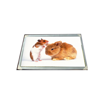 Хорошая цена LM170E03-TLG6 17,0 дюйма 16,7M Модуль ЖК-панели онлайн