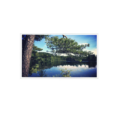 Хорошая цена 1024*768 15,0 дюйма TDA150-002 LVDS 700 cd/m2 ЖК-экрана онлайн