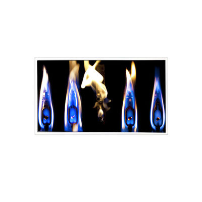 Хорошая цена TDA190-001V02 1280*1024 19,0 дюйма 800 cd/m2 LCD для наружной высокой яркости онлайн