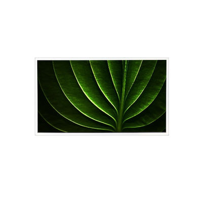 Хорошая цена TAD201-001 20,1 дюйма 1600*1200 450 cd/m2 60Hz ЖК-экран для промышленности онлайн