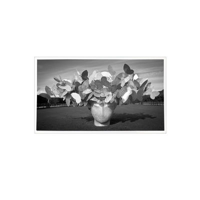 Хорошая цена 1280*1024 3,8 дюйма TPA038-001 800:1 ЖК-дисплей онлайн