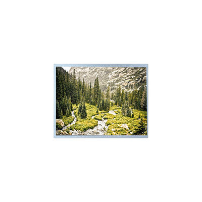 Хорошая цена 1280*800 10,1 дюйма G101EAN02.A WLED 1000 cd/m2 ЖК-дисплей онлайн