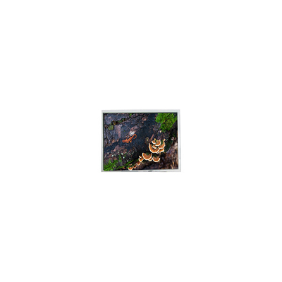Хорошая цена 5.7 дюйм PD057VU8 640*480 60Hz ЖК-экран для промышленности онлайн